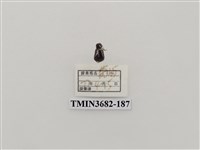 藏品(鞘翅目(2))的圖片